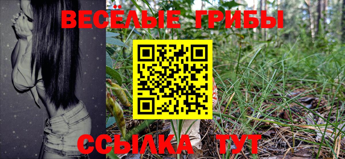 Строитель  Псилоцибиновые грибы Magic Shrooms  Вход с VPN 