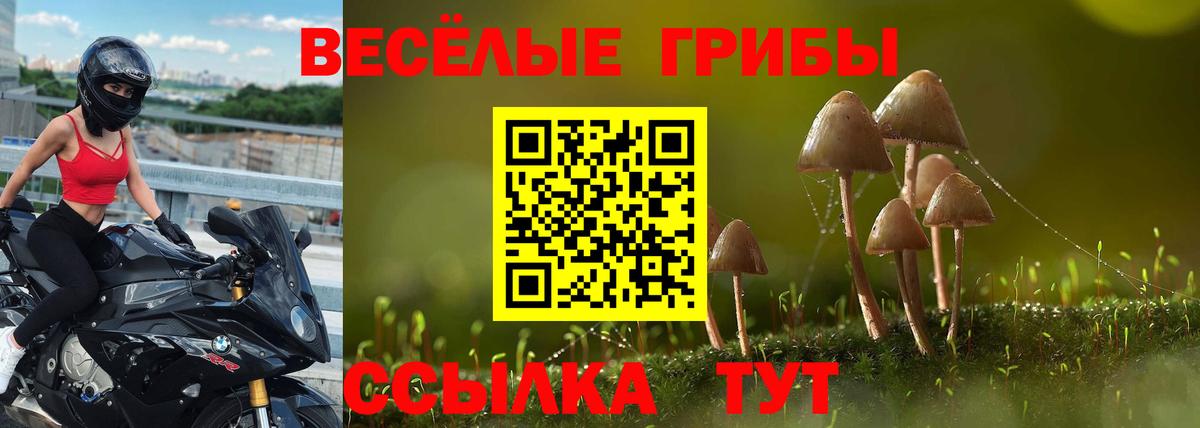 Галлюциногенные грибы ЛСД Строитель